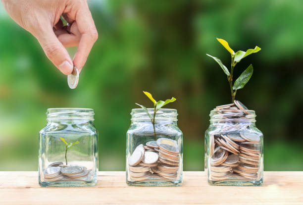 Coins gradually growing into plants symbolising long-term investment